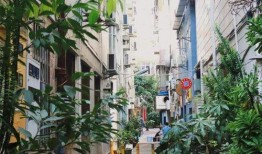 桂庙新村爆料案件真相最新,揭开惊人内幕，正义终将到来